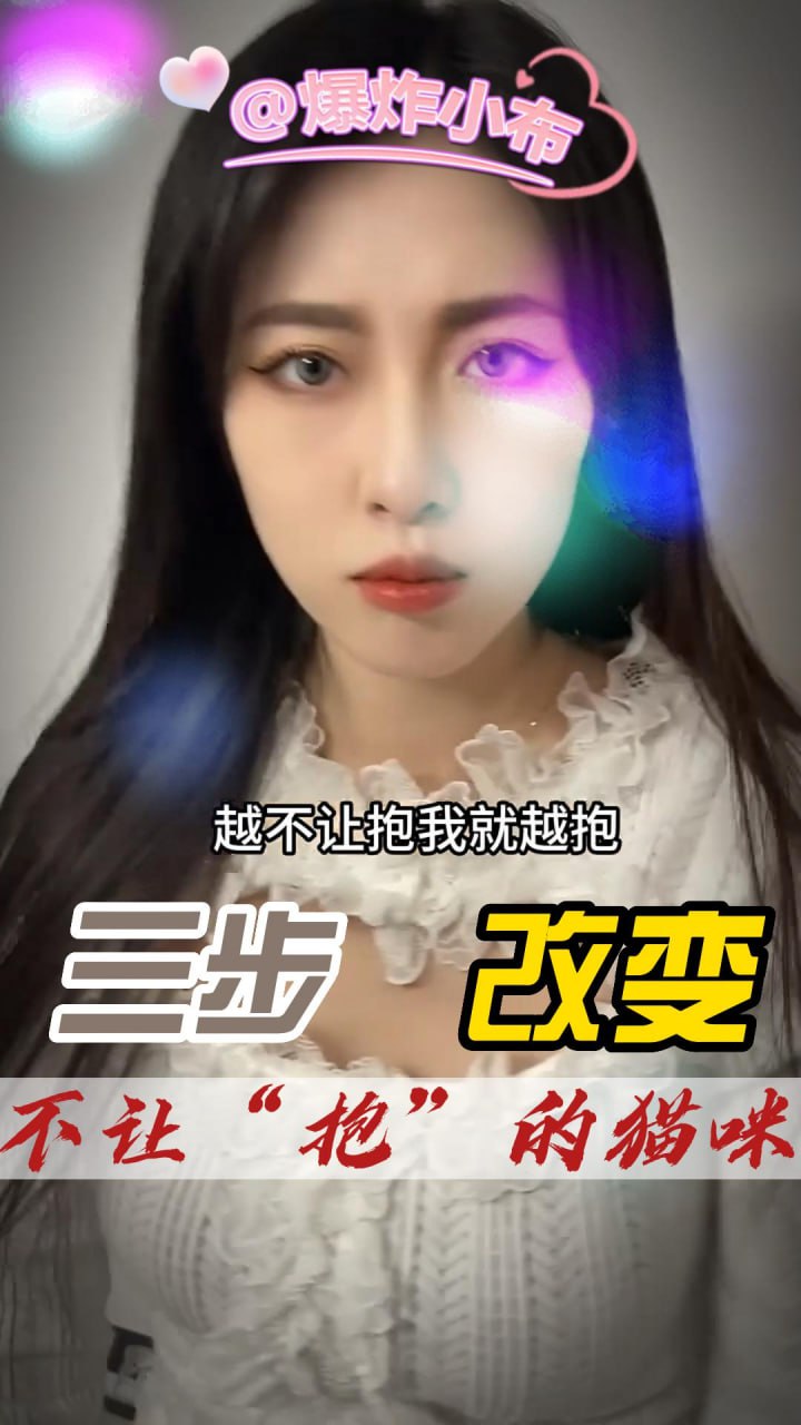 DYF 三步改变不让抱的小猫咪